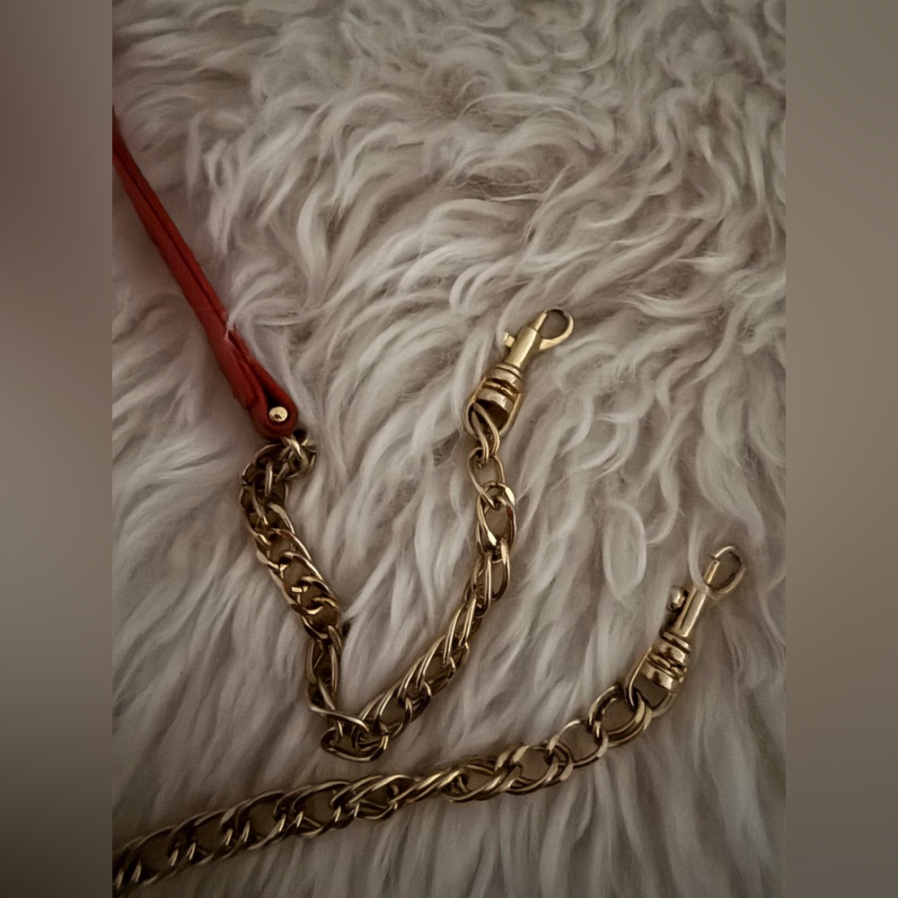 Gold Chain Strap with Red Accent